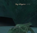 Big Alligator