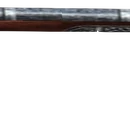 Officer's Bayonet