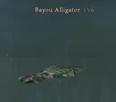 Bayou Alligator