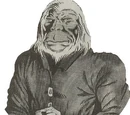 Alexander