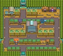 Saffron City
