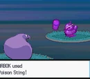 Poison Sting