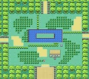 Safari Zone