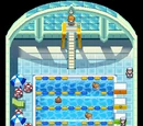 Cerulean City Gym
