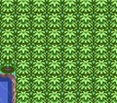 Hoenn Route 110