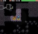 Chasm Cave
