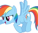 R DASH