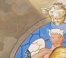 Angelic Physiology