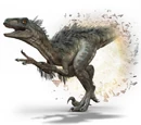 Utahraptor