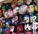 Wrestling mask