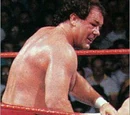 Tully Blanchard