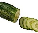 Cucumber