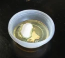 Egg white