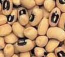 Black-eyed pea