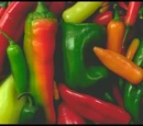 Peppers