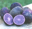 Purple potato
