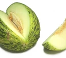 Santa Claus melon