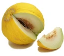 Casaba melon
