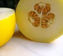 Canary melon