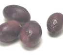 Empeltre olive