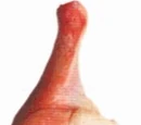 Lamb leg