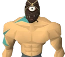 Cyclossus