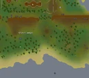 Kharazi Jungle