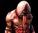 Blood Baby