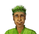 Sabastian Collins