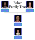 Baker Family Tree (Sunset Valley).png
