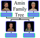 Amin Family Tree.png