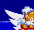Sonic the Hedgehog 2 Beta