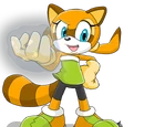 Marine the Raccoon