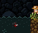 Piranha