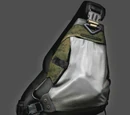 Portable EMP