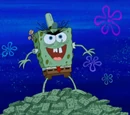 Moldy Sponge