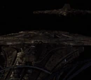 Seed ship