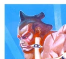 Street Fighter II
