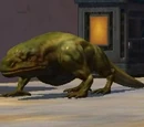 Dewback