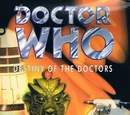 Destiny of the Doctors (video game)
