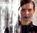 The Waters of Mars (TV story)