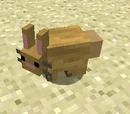 Bunnies
