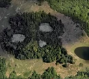 Forest of Doom