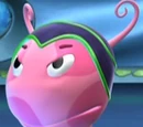 Gooniqua