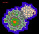 Goroma