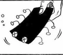 Dried Seaweed Bug