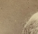 John Russell, 1st Earl Russell
