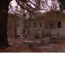 Dead Dog Farm