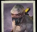 Chimera Hybrid