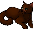 Pinestar
